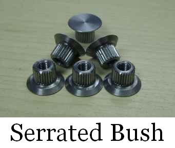 bush.jpg