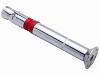 Countersunk Heavy Duty Anchor.jpg