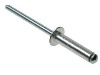 Rivet.jpg