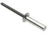 Sealed Rivet.jpg